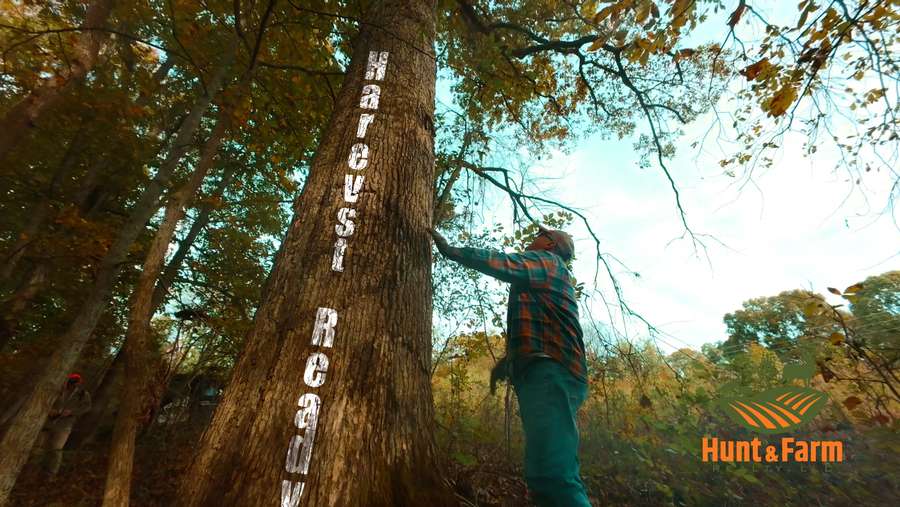 Still 2025-11-29 081237_1.58.1.jpg